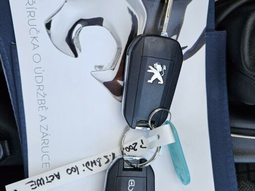 Peugeot 2008 1.5 BHDi 100 ACTIVE MAN6