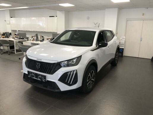 Peugeot 2008 STYLE PureTech 100 S&S MAN6