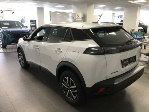 Peugeot 2008 STYLE PureTech 100 S&S MAN6
