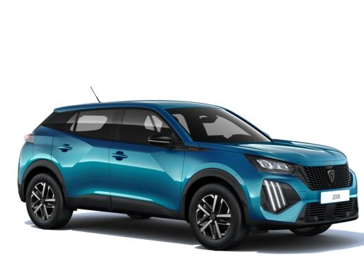 Peugeot 2008 STYLE PureTech 100 S&S MAN6