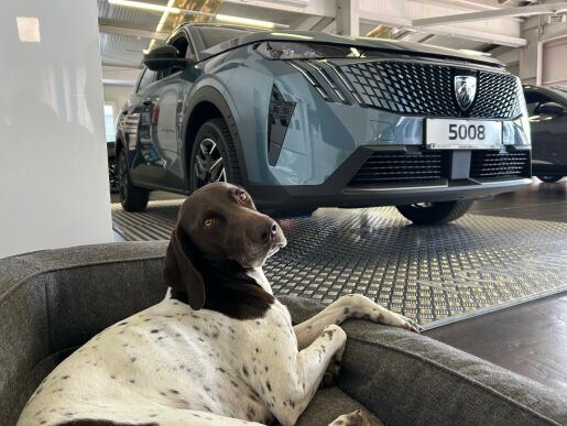 Peugeot 5008 ALLURE Hybrid 145 e-DCS6