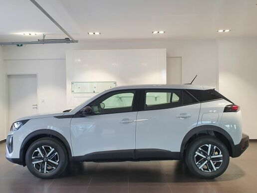 Peugeot 2008 STYLE PureTech 100 S&S MAN6