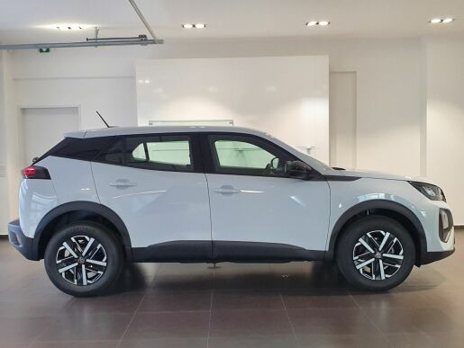 Peugeot 2008 STYLE PureTech 100 S&S MAN6