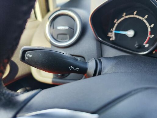 Ford Fiesta 1.0 Ecoboost/74kW Trend Edit.