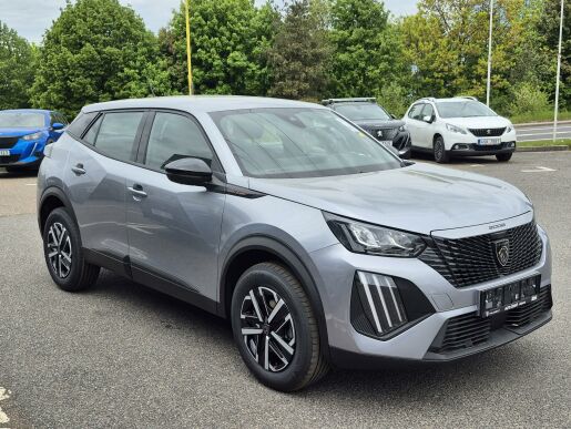 Peugeot 2008 STYLE PureTech 100 S&S MAN6