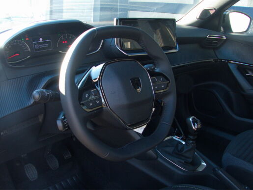 Peugeot 2008 STYLE PureTech 100 S&S MAN6